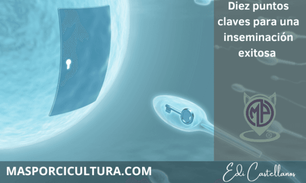 Diez Puntos Clave a considerar para lograr inseminación porcina exitosa