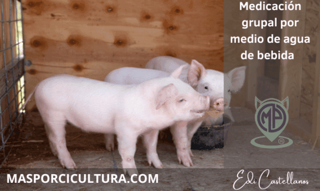 Medicación en Agua de bebida