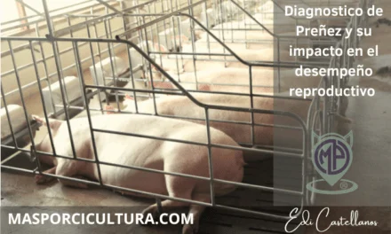 Diagnóstico de gestación y su impacto en el desempeño reproductivo