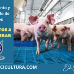 Crecimiento cerdos engorde