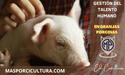 Gestión del talento humano en las granjas Porcinas