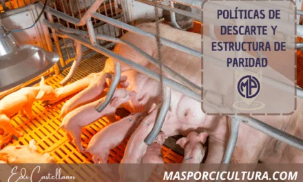 Politicas de Descarte y Estructura de Paridad