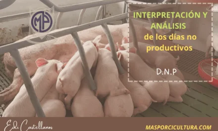 Interpretación y Análisis de los días no productivos (DNP)