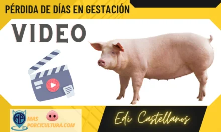Perdida de días en Gestación