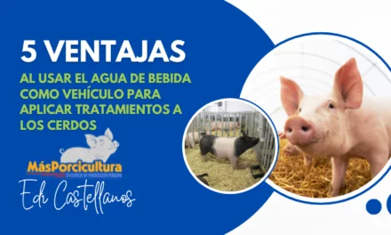 5 Ventajas al usar el agua de bebida para tratamientos