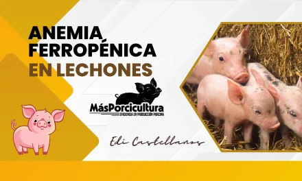 Anemia ferropénica en lechones