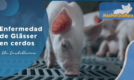 Enfermedad de Glasser