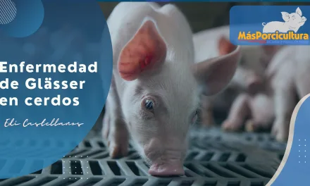 Enfermedad de Glasser