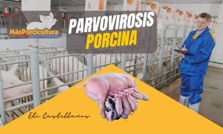 Parvovirosis Porcina