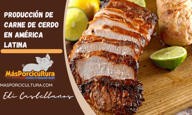Producción de carne de cerdo en América Latina