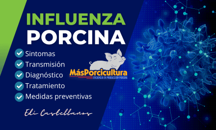 Influenza Porcina