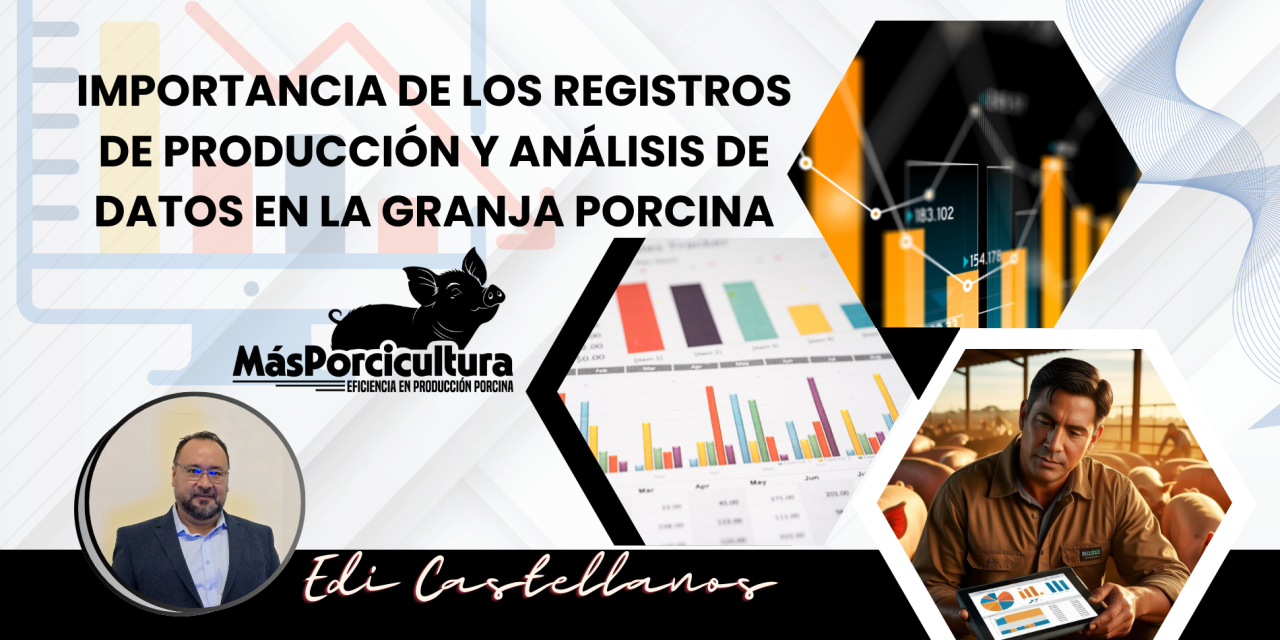 Importancia de los Registros de Producción y Análisis de Datos en la Granja Porcina