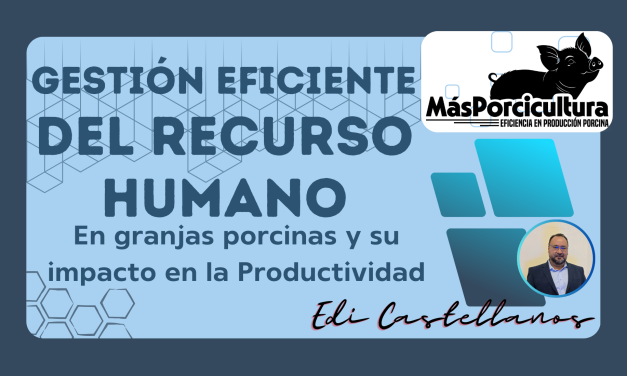 Gestión Eficiente del Recurso Humano en Granjas Porcinas y su Impacto en la Productividad