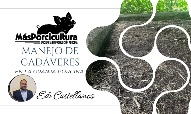 Manejo de Cadáveres en la Granja Porcina