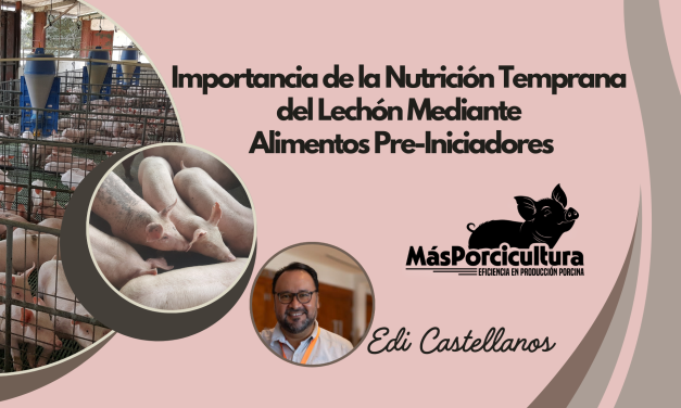 Importancia de la Nutrición Temprana del Lechón Mediante Alimentos Pre-Iniciadores