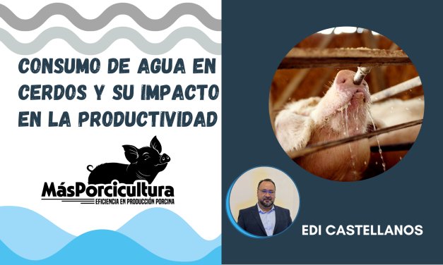 Consumo de Agua en Cerdos y su Impacto en la Productividad.