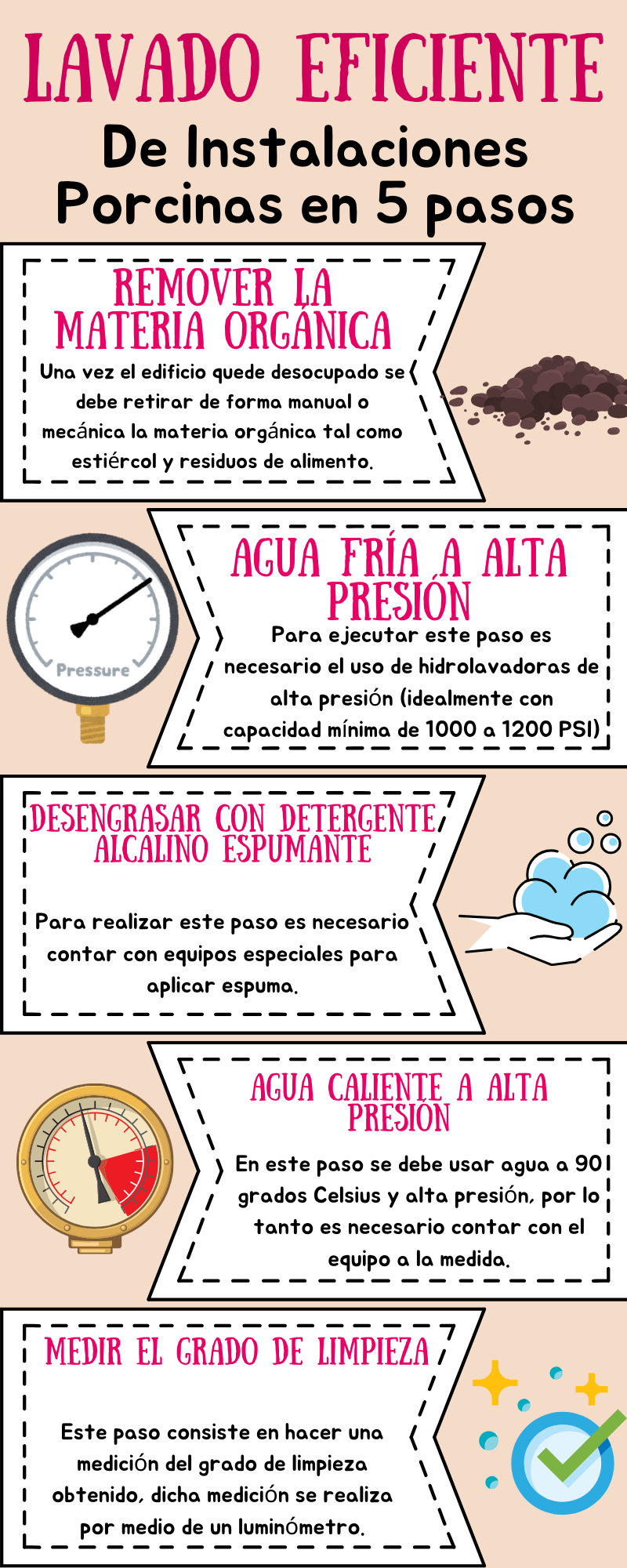 4 Estrategias para la comercialización de cerdos vivos