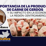 Importancia de la Producción de Carne de Cerdos y su Impacto en la Economía de la Región Centroamericana