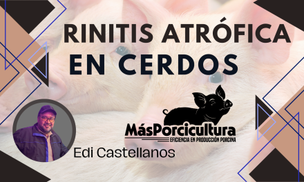 Rinitis Atrófica en Cerdos