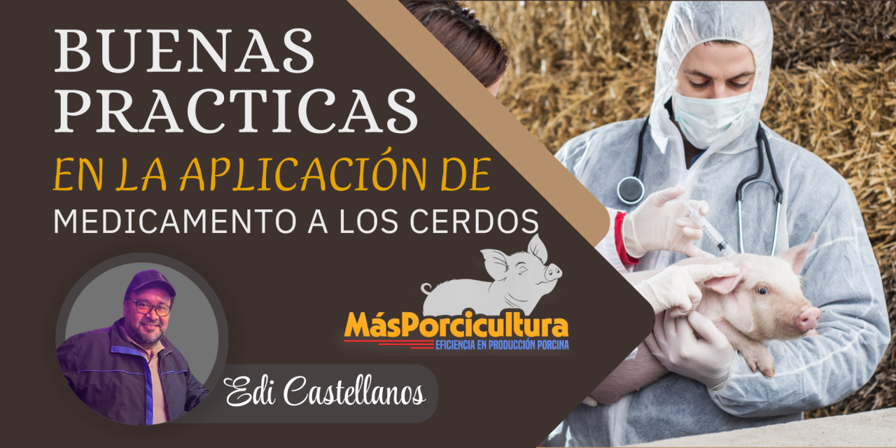 Buenas Prácticas en la Aplicación de Medicamentos a los Cerdos
