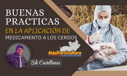 Buenas Prácticas en la Aplicación de Medicamentos a los Cerdos