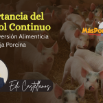 Importancia del control continuo de la Conversión Alimenticia en una granja porcina