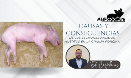 Causas y Consecuencias de los Lechones Nacidos Muertos en la Granja Porcina