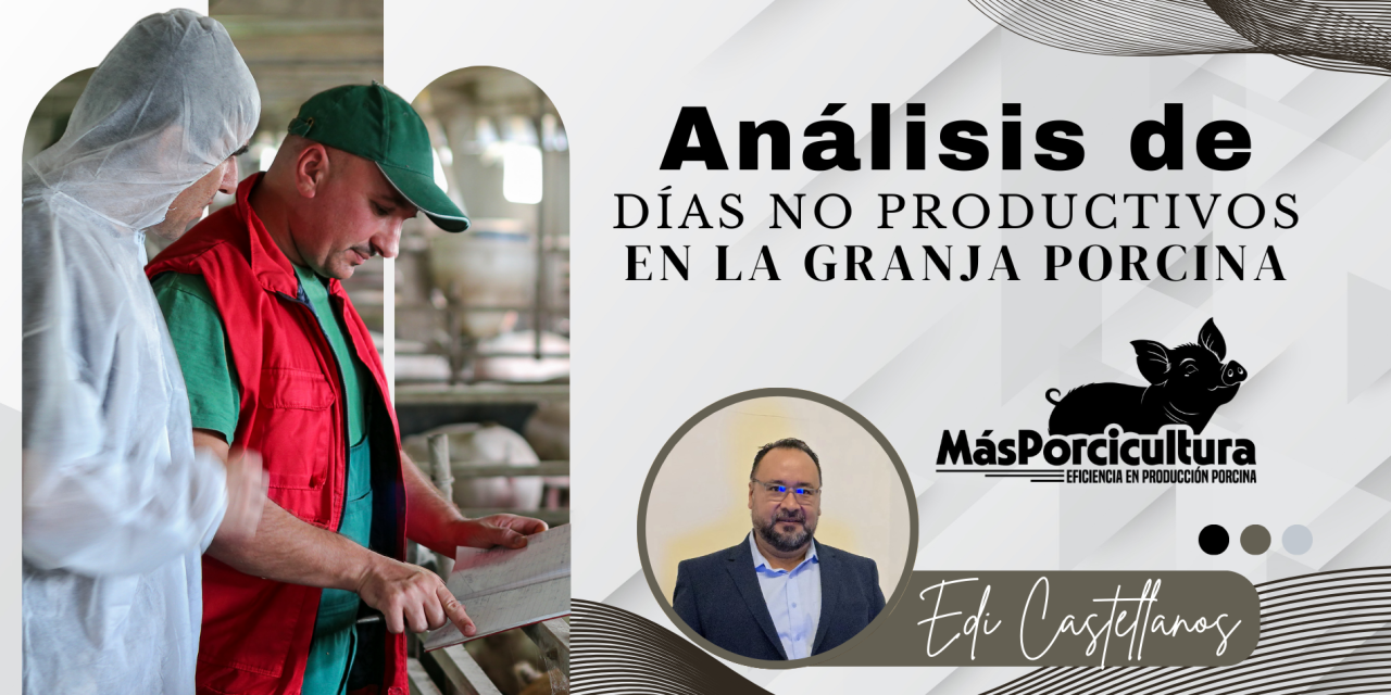 Análisis de los Días No Productivos en la Granja Porcina