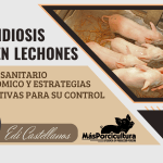Coccidiosis en Lechones: Impacto Sanitario, Económico y Estrategias Efectivas para su Control