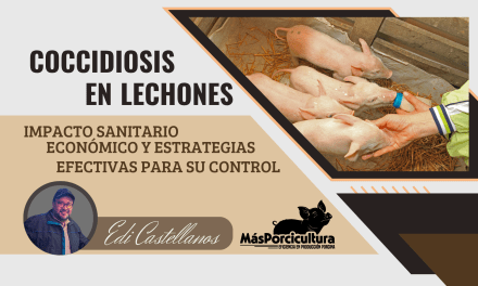 Coccidiosis en Lechones: Impacto Sanitario, Económico y Estrategias Efectivas para su Control