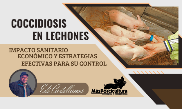 Coccidiosis en Lechones: Impacto Sanitario, Económico y Estrategias Efectivas para su Control