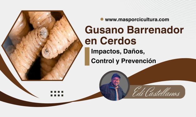 El Gusano Barrenador en Cerdos: Impacto, Daños, Control y Prevención