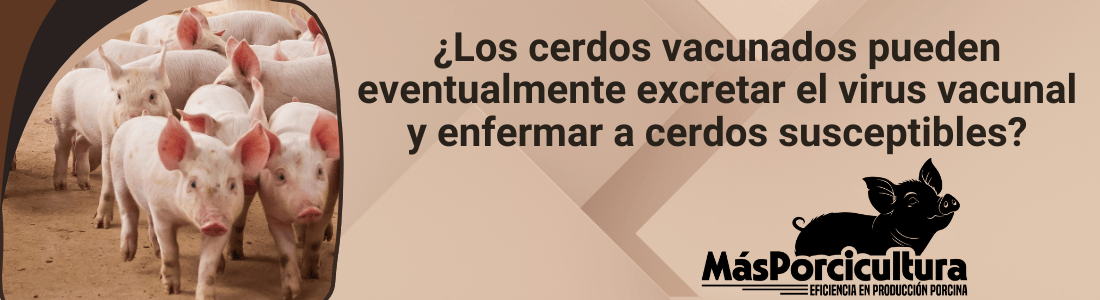 Importancia y Beneficios en la Producción Porcina