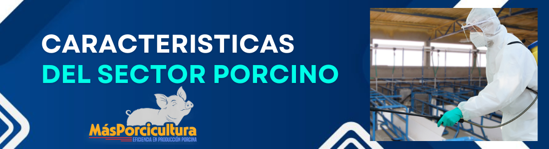 Caracteristicas del Sector Porcino