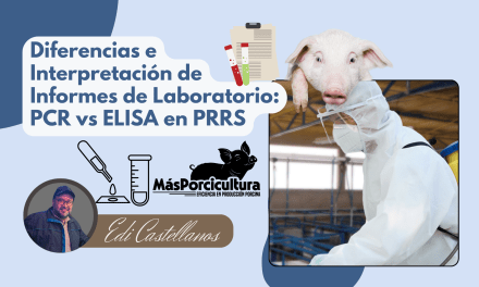 Diferencias e Interpretación de Informes de Laboratorio: PCR vs ELISA en PRRS