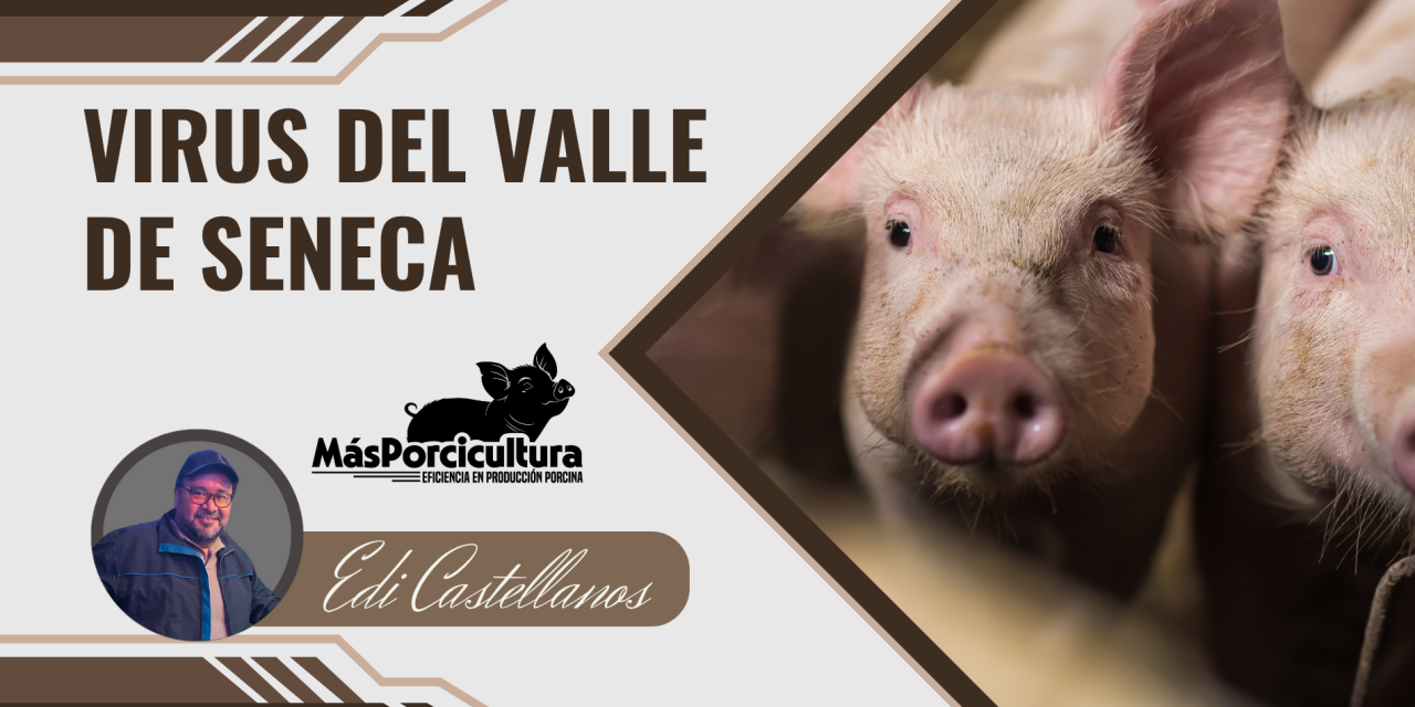 Virus del Valle de Seneca (Senecavirus A) en Cerdos: Un Desafío Emergente para la Sanidad Porcina