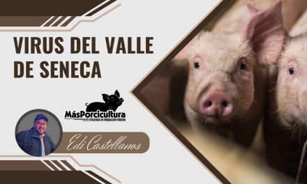 Virus del Valle de Seneca (Senecavirus A) en Cerdos: Un Desafío Emergente para la Sanidad Porcina