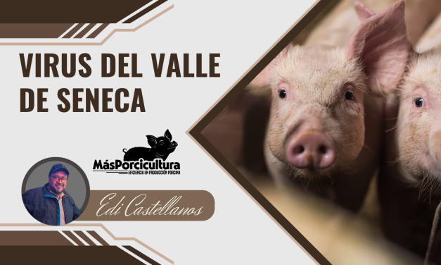 Virus del Valle de Seneca (Senecavirus A) en Cerdos: Un Desafío Emergente para la Sanidad Porcina