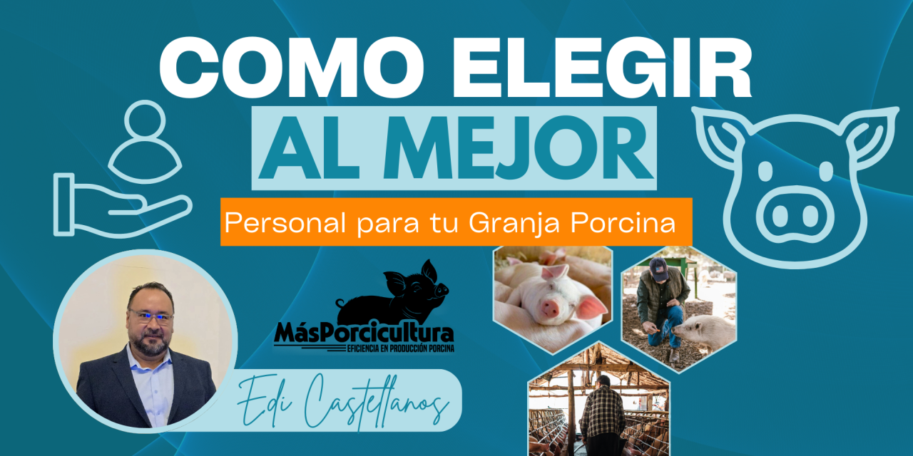 Cómo Elegir al Mejor Personal para Tu Granja Porcina