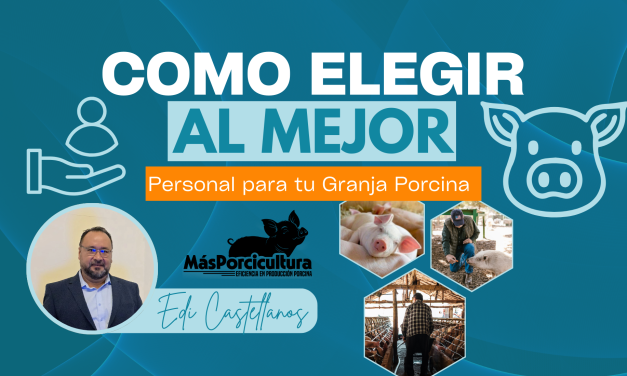Cómo Elegir al Mejor Personal para Tu Granja Porcina
