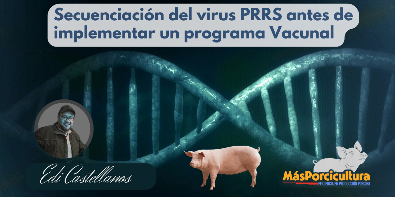 Secuenciación del Virus PRRS Antes de Implementar un Programa Vacunal