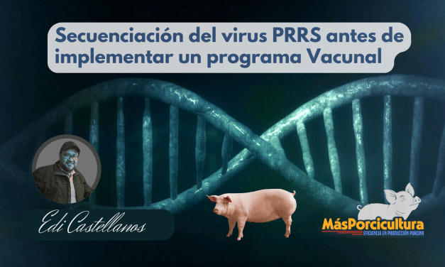 Secuenciación del Virus PRRS Antes de Implementar un Programa Vacunal