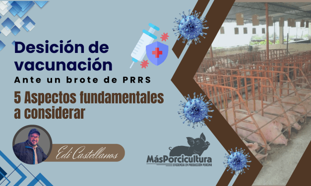 Decisión de Vacunación ante un Brote de PRRS en Granjas Porcinas: 5 Aspectos Fundamentales