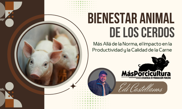Bienestar Animal en Cerdos: Más Allá de la Norma, el Impacto en la Productividad y la Calidad de la Carne
