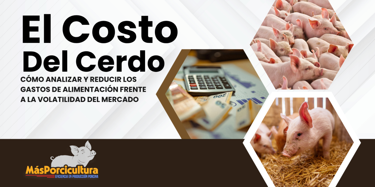 El Costo del Cerdo: Cómo Analizar y Reducir los Gastos de Alimentación Frente a la Volatilidad del Mercado