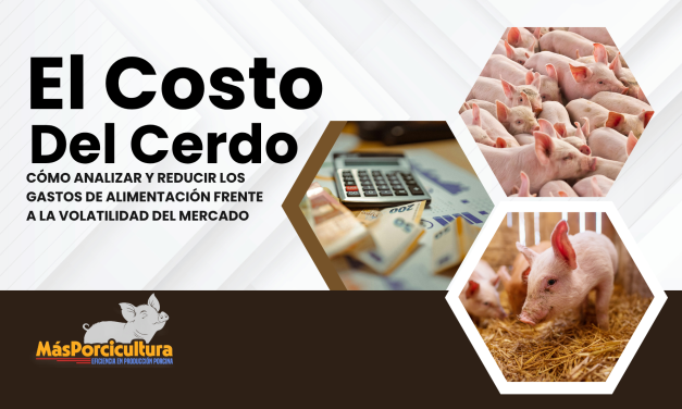 El Costo del Cerdo: Cómo Analizar y Reducir los Gastos de Alimentación Frente a la Volatilidad del Mercado