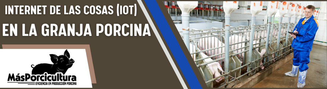 Internet de las cosas en la granja porcina