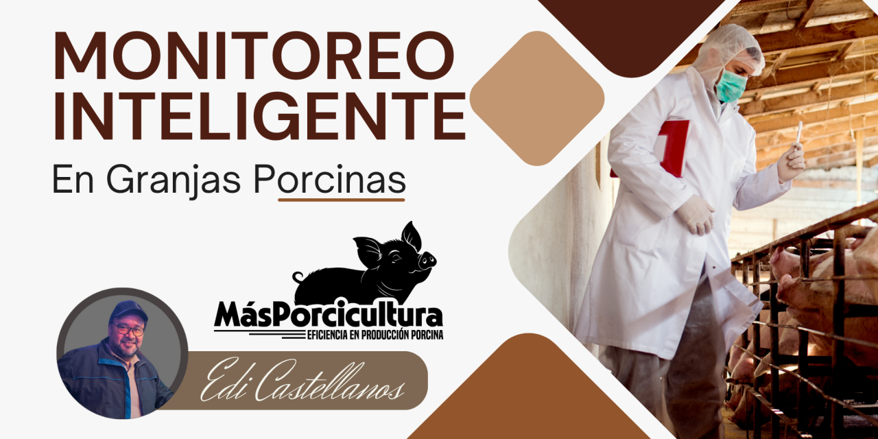 Monitoreo Inteligente en Granjas Porcinas: Tecnologías que Transforman el Manejo y la Toma de Decisiones