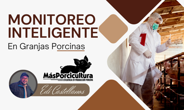 Monitoreo Inteligente en Granjas Porcinas: Tecnologías que Transforman el Manejo y la Toma de Decisiones
