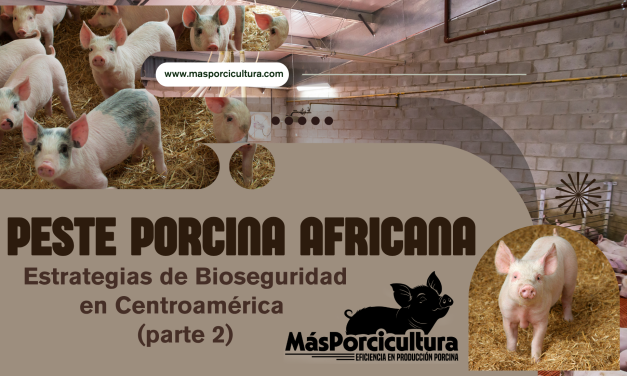Peste Porcina Africana: Estrategias de Bioseguridad en Centroamérica  (Parte 2)